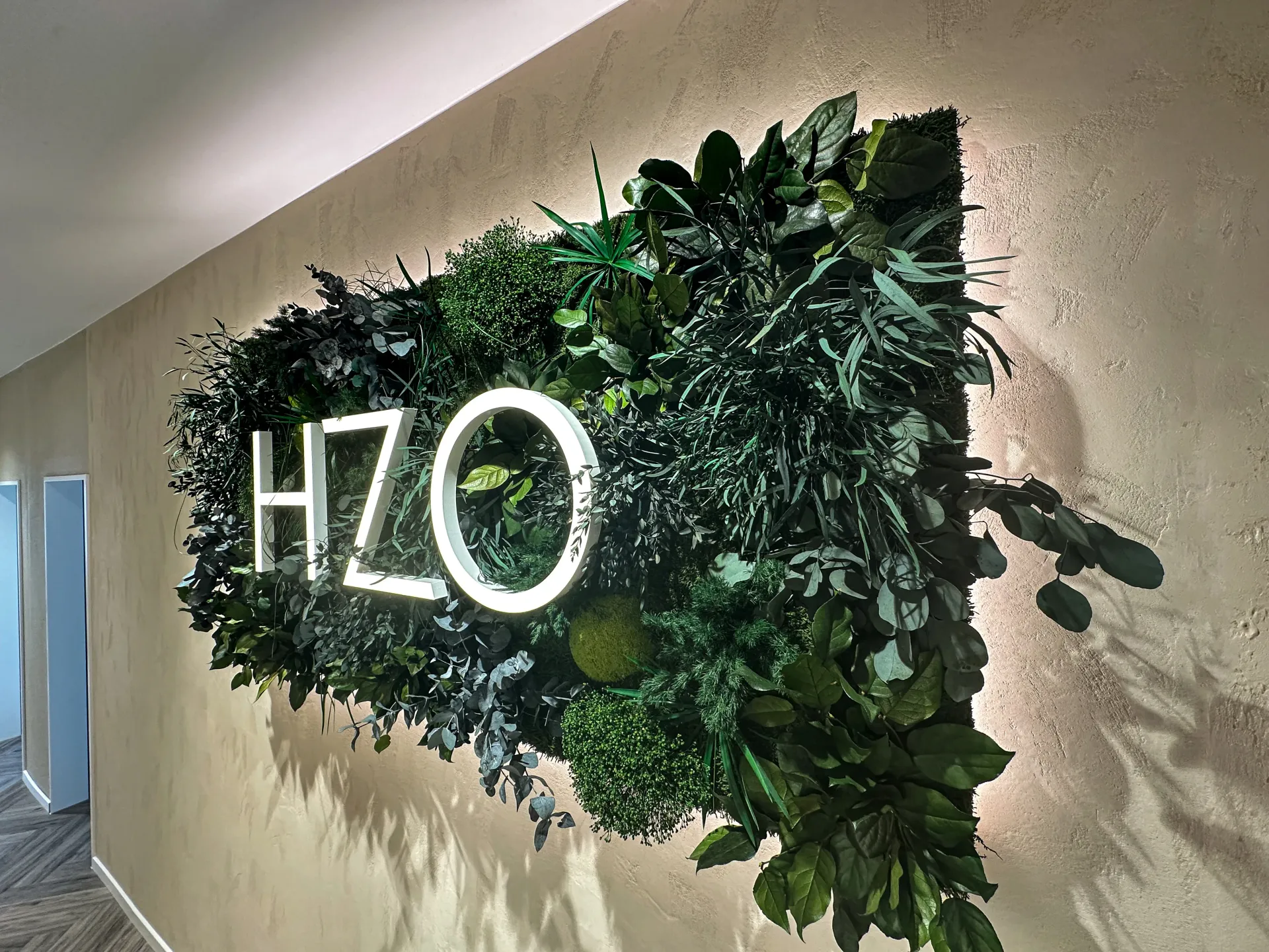 HZO branded green plant wall installation with illuminated white lettering in clinic corridor.