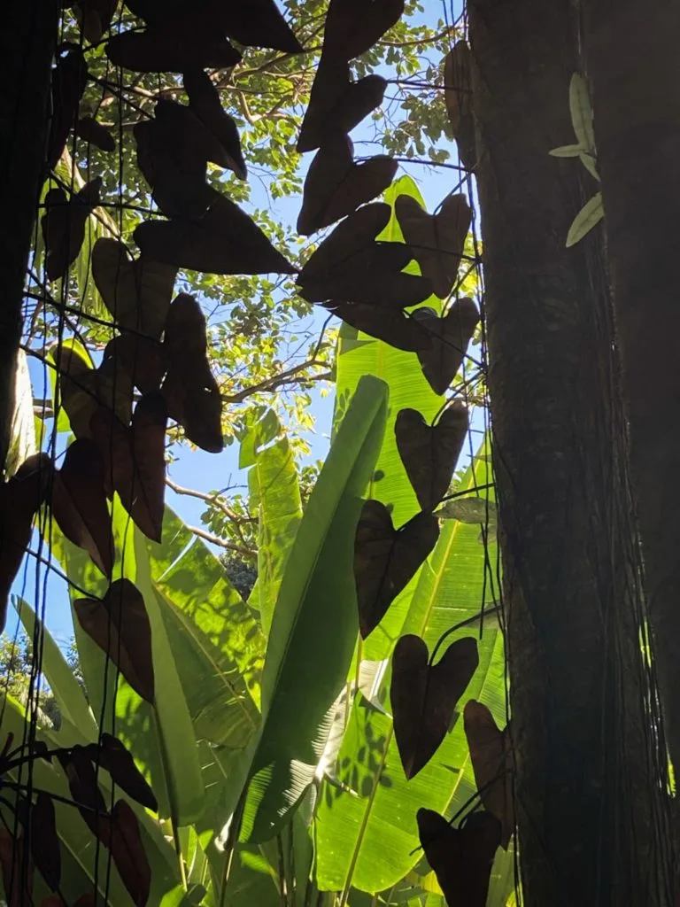 Garden of Being: Ein Rückzugsort für die Seele – Ganzheitliche Begleitung im Herzen von Nidau