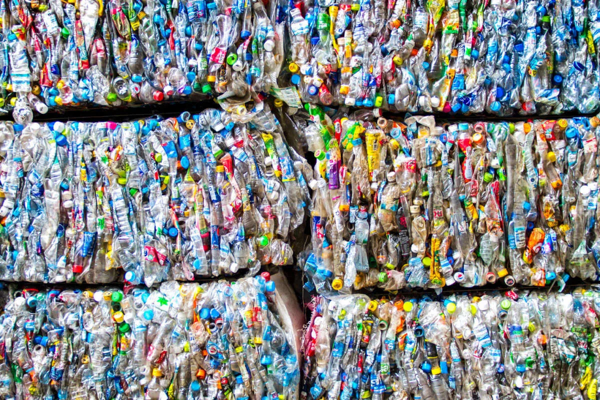 Exterior of the entsorgBar recycling facility building with green branding under a blue sky.