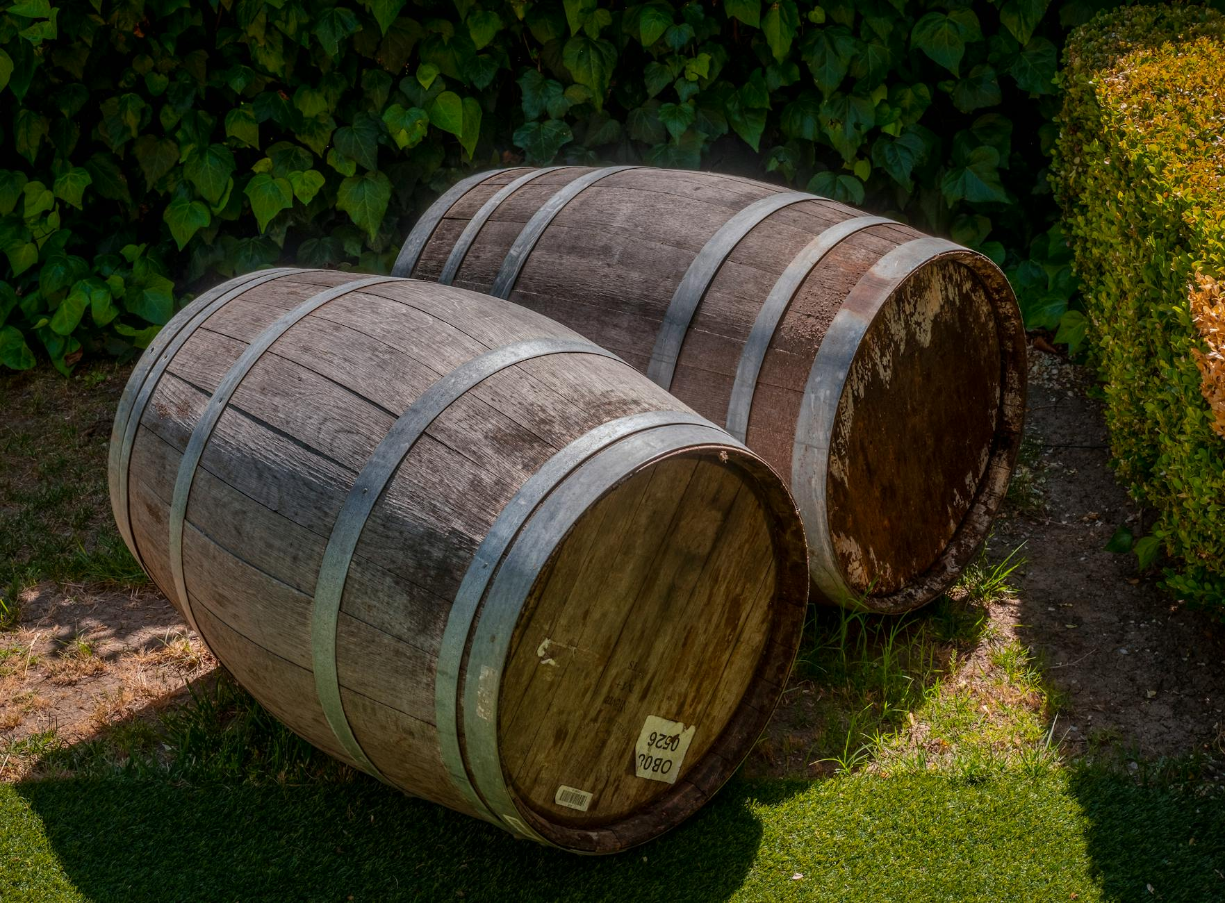 Eine moderne Schweizer Einfamilienhausfassade mit Regenrinne, die in eine grosse Regentonne im Garten führt, um Regenwasser für die nachhaltige Bewässerung zu sammeln.