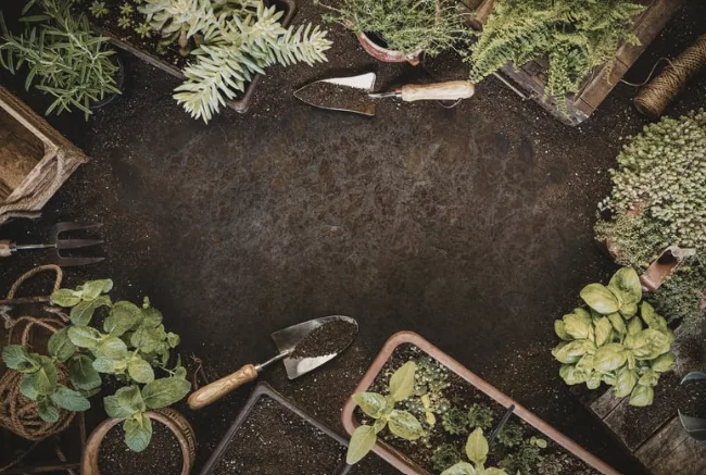 Eine fröhliche Gärtnerin pflanzt Blumen in ihrem persönlich gestalteten Schweizer Garten, umgeben von grünen Pflanzen und einer gemütlichen Sitzgelegenheit.