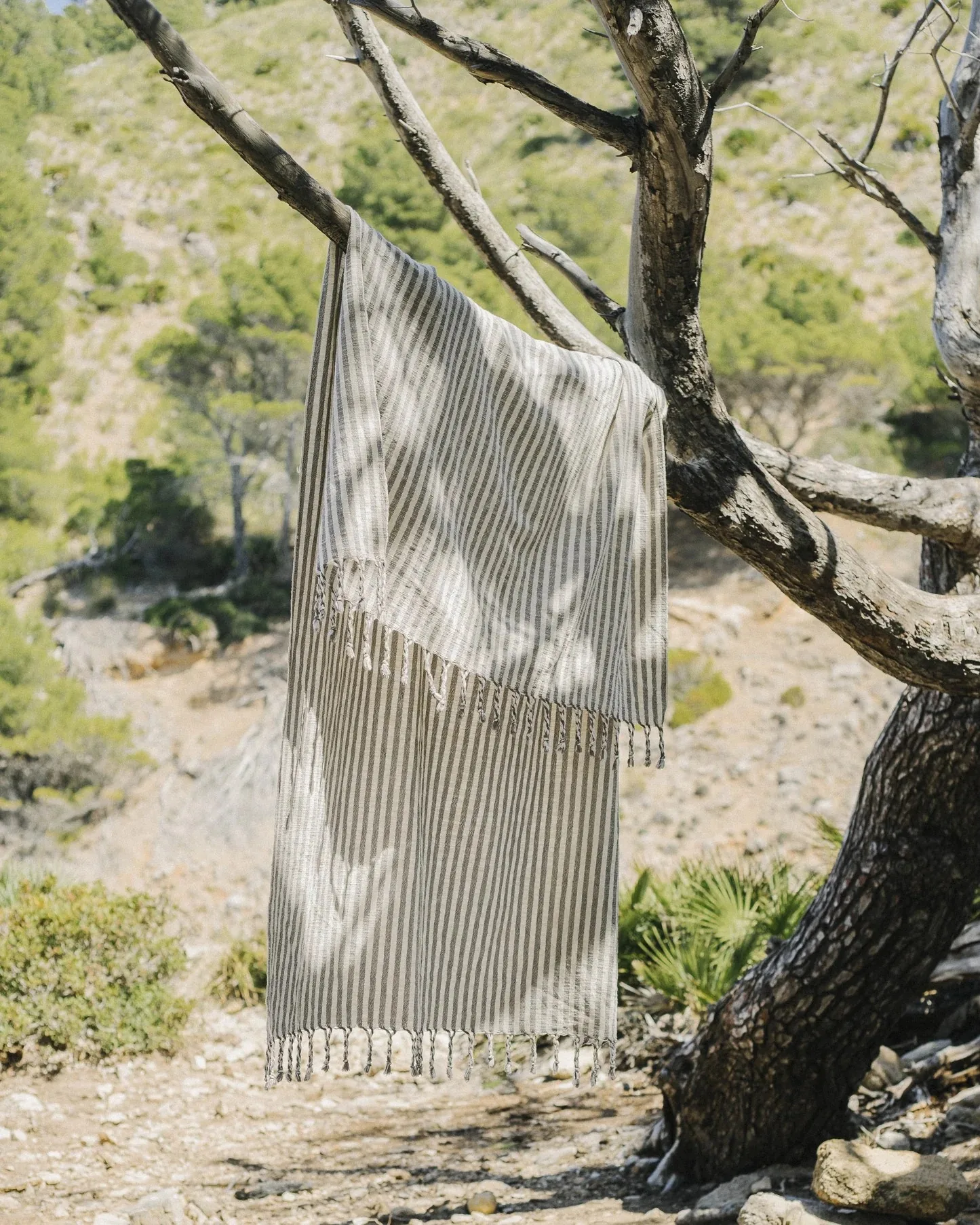 Lightweight striped linen towel with fringe hangs from a tree branch in a sun-drenched landscape.